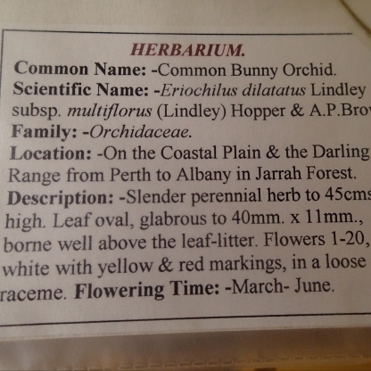 Found in the specimen display for April in the Forest Heritage Centre